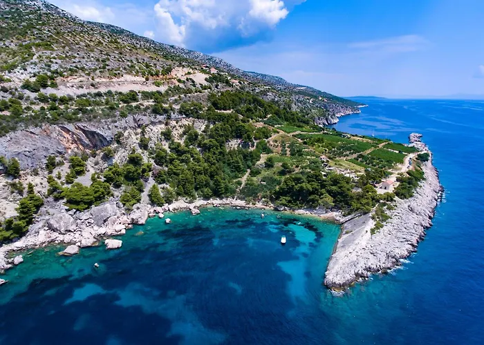 Family Friendly House With A Swimming Pool Cove Zarace, Hvar - 23502 Prázdninový dům