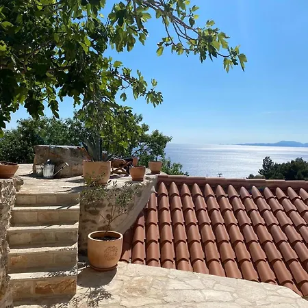 Family Friendly House With A Swimming Pool Cove Zarace, Hvar - 23502 Ferienhaus Zarače