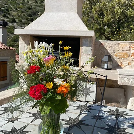 Family Friendly House With A Swimming Pool Cove Zarace, Hvar - 23502 Vakantiehuis